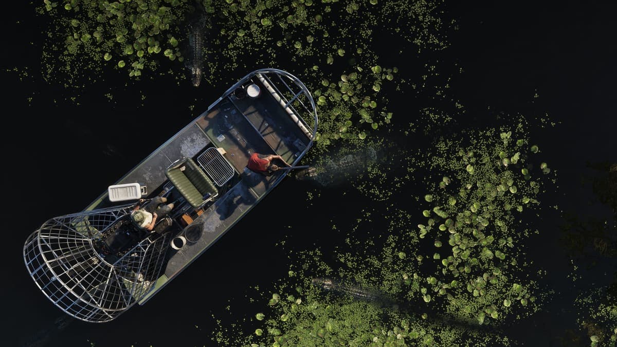 Grassrivers, official screenshot 3